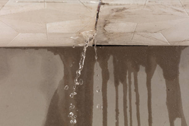Professional Flood Damage Cleanup technician working in Kleinfeltersville, PA
